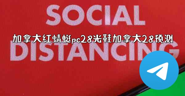 加拿大红蜻蜓pc28光鞋加拿大28预测