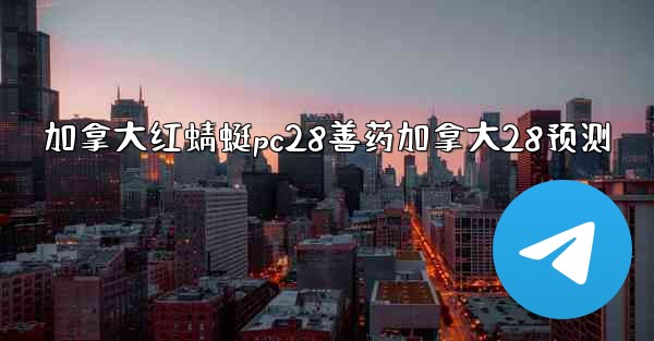 加拿大红蜻蜓pc28善药加拿大28预测