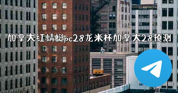 加拿大红蜻蜓pc28龙米杯加拿大28预测