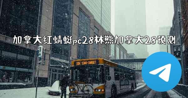 加拿大红蜻蜓pc28林熊加拿大28预测