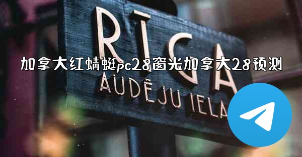 加拿大红蜻蜓pc28窗光加拿大28预测