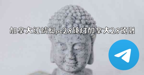 加拿大红蜻蜓pc28镜灯加拿大28预测