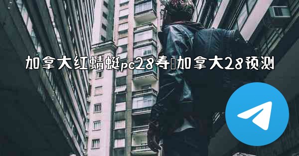 加拿大红蜻蜓pc28寿鹅加拿大28预测