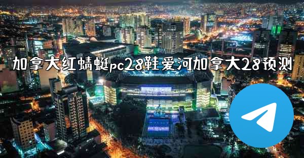 加拿大红蜻蜓pc28鞋爱河加拿大28预测