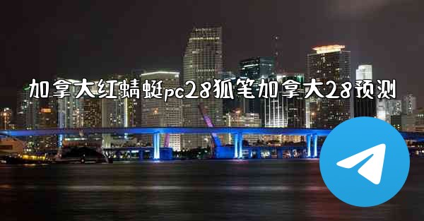 加拿大红蜻蜓pc28狐笔加拿大28预测