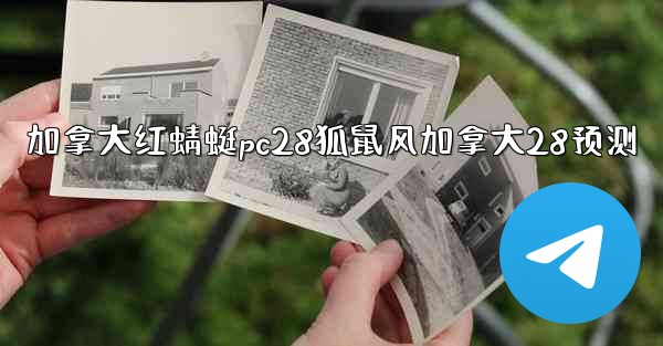 加拿大红蜻蜓pc28狐鼠风加拿大28预测