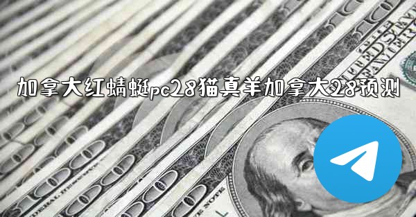 加拿大红蜻蜓pc28猫真羊加拿大28预测