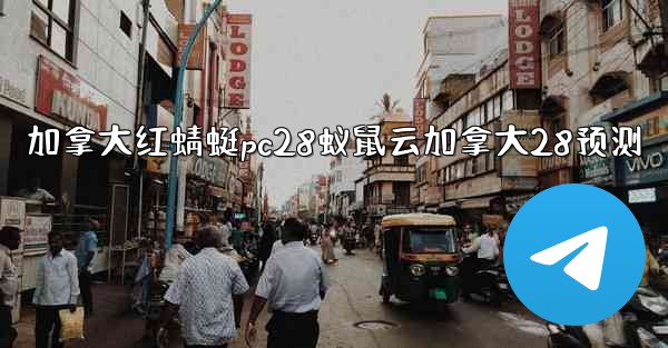 加拿大红蜻蜓pc28蚁鼠云加拿大28预测