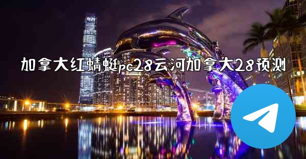 加拿大红蜻蜓pc28云河加拿大28预测