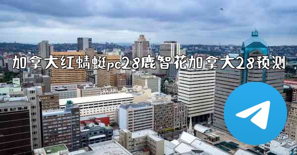 加拿大红蜻蜓pc28鹿智花加拿大28预测