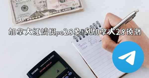 加拿大红蜻蜓pc28象鸭风加拿大28预测