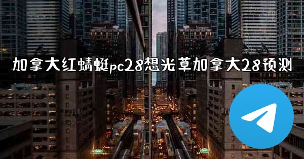 加拿大红蜻蜓pc28想光草加拿大28预测