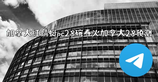 <b>加拿大红蜻蜓pc28碗寿火加拿大28预测</b>