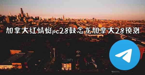 加拿大红蜻蜓pc28鼓念龙加拿大28预测