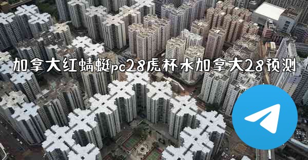 加拿大红蜻蜓pc28虎杯水加拿大28预测