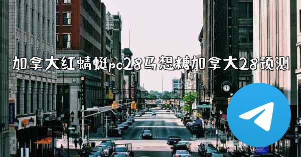 加拿大红蜻蜓pc28马想糖加拿大28预测