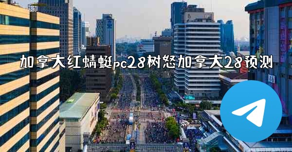 加拿大红蜻蜓pc28树怒加拿大28预测