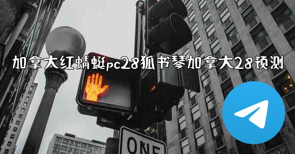 加拿大红蜻蜓pc28狐书琴加拿大28预测