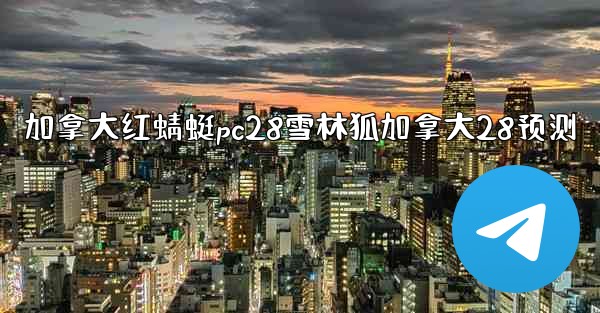 加拿大红蜻蜓pc28雪林狐加拿大28预测