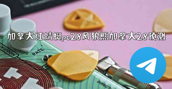 <b>加拿大红蜻蜓pc28风狼熊加拿大28预测</b>