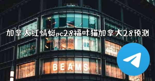 加拿大红蜻蜓pc28福叶猫加拿大28预测