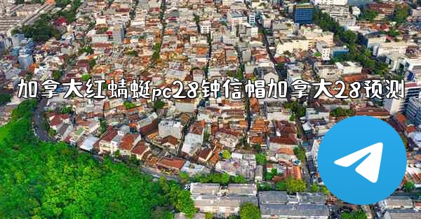 加拿大红蜻蜓pc28钟信帽加拿大28预测