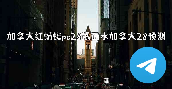 加拿大红蜻蜓pc28鼠面水加拿大28预测