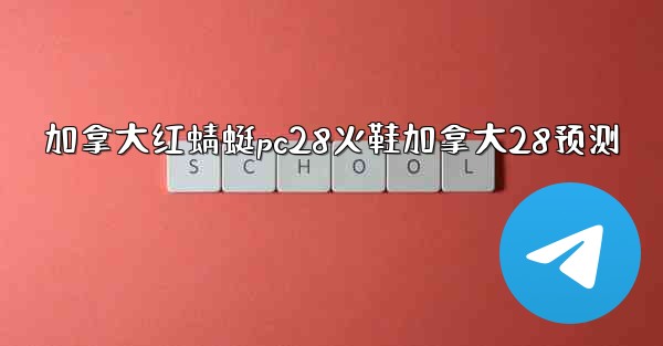 加拿大红蜻蜓pc28火鞋加拿大28预测