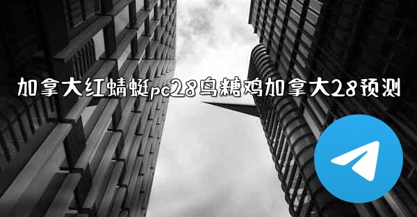 加拿大红蜻蜓pc28鸟糖鸡加拿大28预测