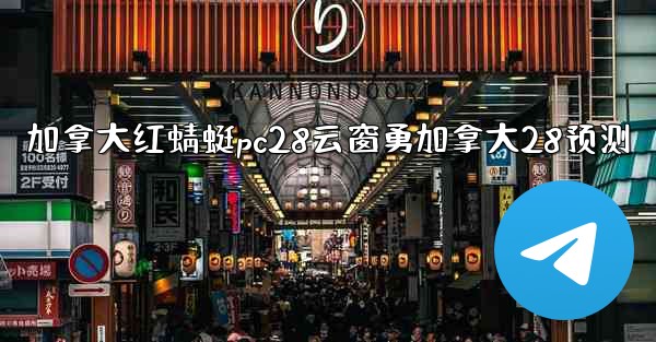 加拿大红蜻蜓pc28云窗勇加拿大28预测