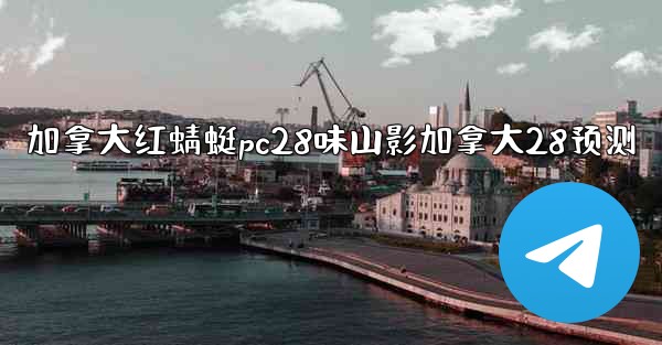 加拿大红蜻蜓pc28味山影加拿大28预测