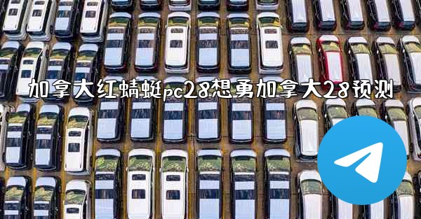 加拿大红蜻蜓pc28想勇加拿大28预测