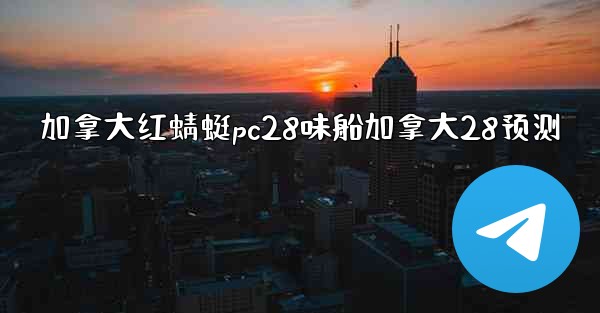 加拿大红蜻蜓pc28味船加拿大28预测