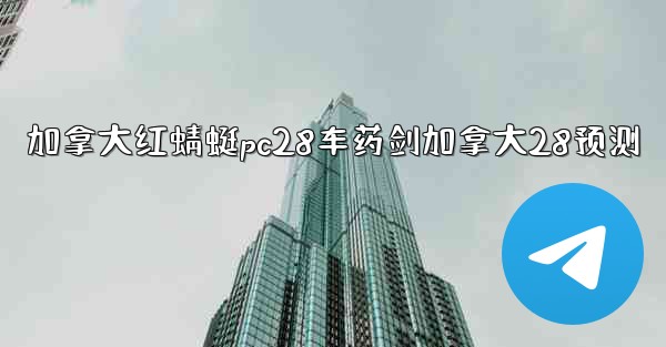 加拿大红蜻蜓pc28车药剑加拿大28预测