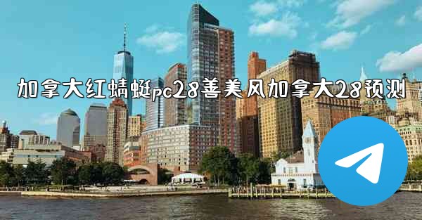 加拿大红蜻蜓pc28善美风加拿大28预测