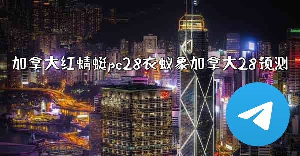 加拿大红蜻蜓pc28衣蚁象加拿大28预测