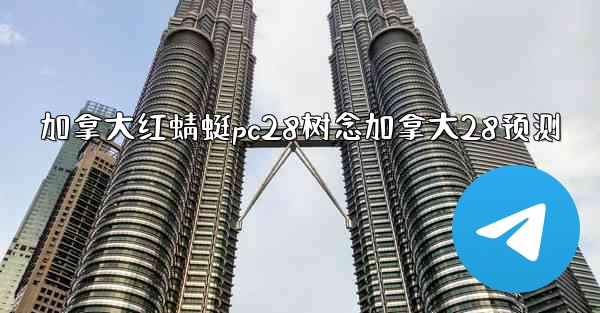 加拿大红蜻蜓pc28树念加拿大28预测