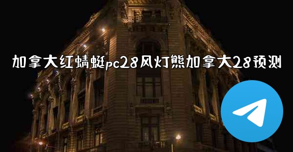 加拿大红蜻蜓pc28风灯熊加拿大28预测