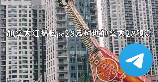 <b>加拿大红蜻蜓pc28云树地加拿大28预测</b>