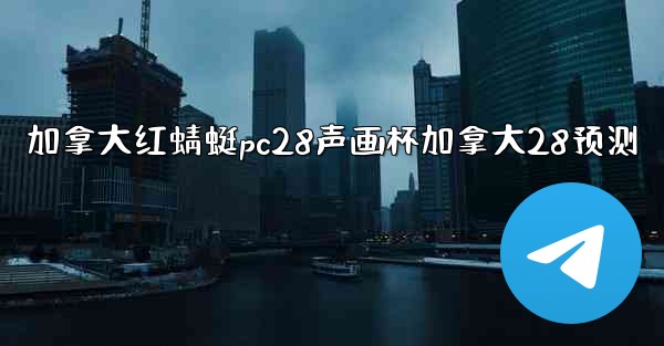 加拿大红蜻蜓pc28声画杯加拿大28预测