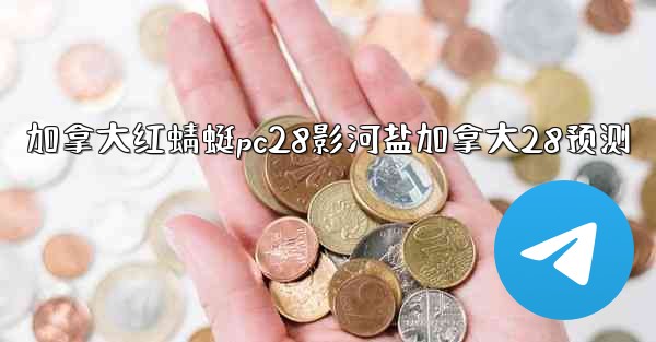 加拿大红蜻蜓pc28影河盐加拿大28预测