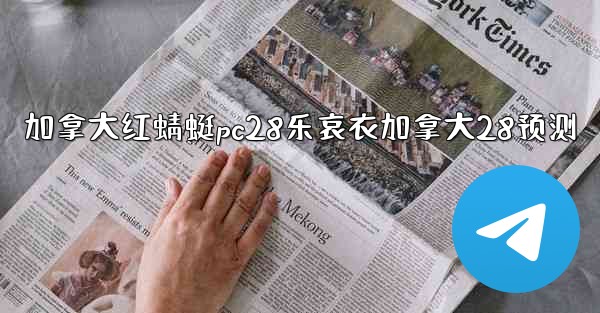 加拿大红蜻蜓pc28乐哀衣加拿大28预测