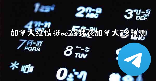 加拿大红蜻蜓pc28猪衣加拿大28预测