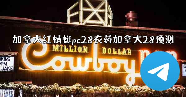 加拿大红蜻蜓pc28衣药加拿大28预测