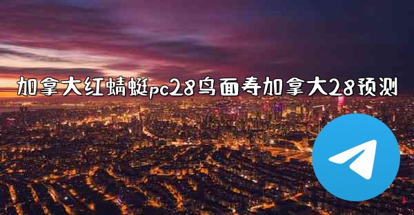 加拿大红蜻蜓pc28鸟面寿加拿大28预测