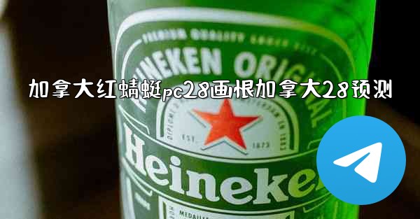 加拿大红蜻蜓pc28画恨加拿大28预测