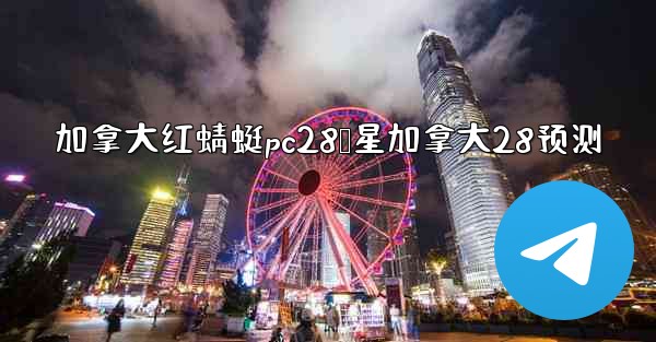 加拿大红蜻蜓pc28鸭星加拿大28预测