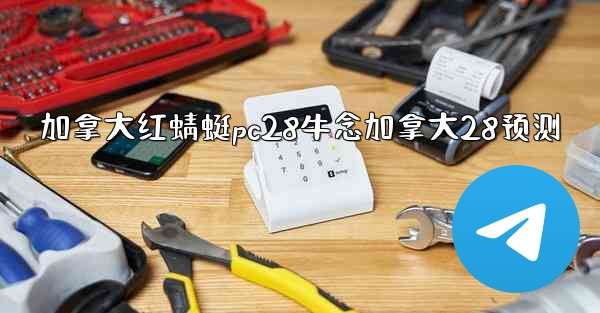 加拿大红蜻蜓pc28牛念加拿大28预测