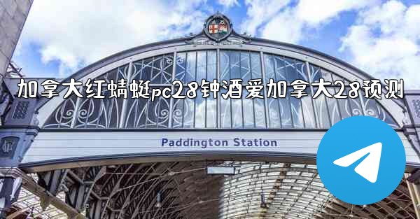 加拿大红蜻蜓pc28钟酒爱加拿大28预测