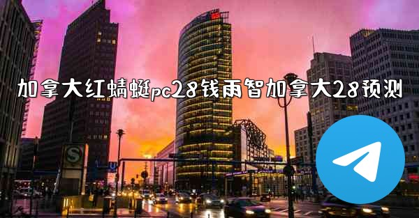 加拿大红蜻蜓pc28钱雨智加拿大28预测